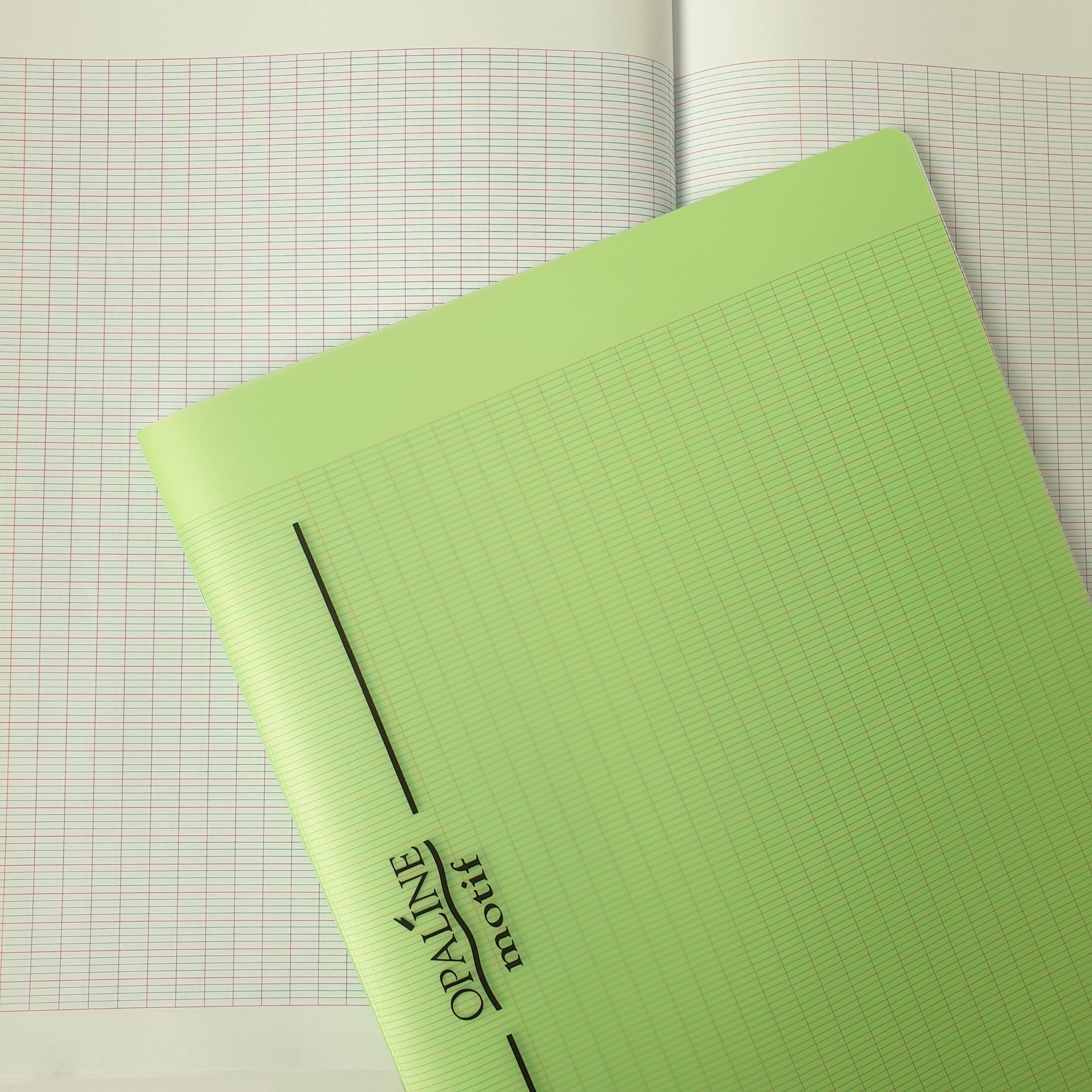 OPALINE MOTIF Col Bk PP Stit70g Sey 48sh L/R 24x32