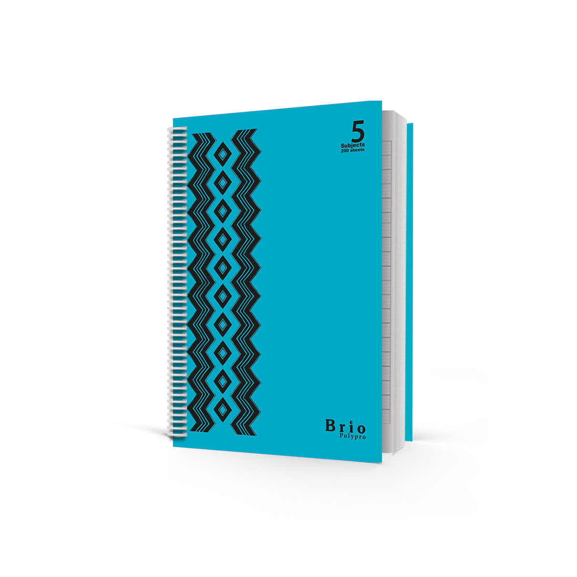 BRIO 5Sub PP Spiral 60g Lin 200sh L/O 21X27.5