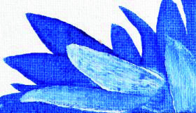 ROC/RAC BRUSH 245/2 FSC