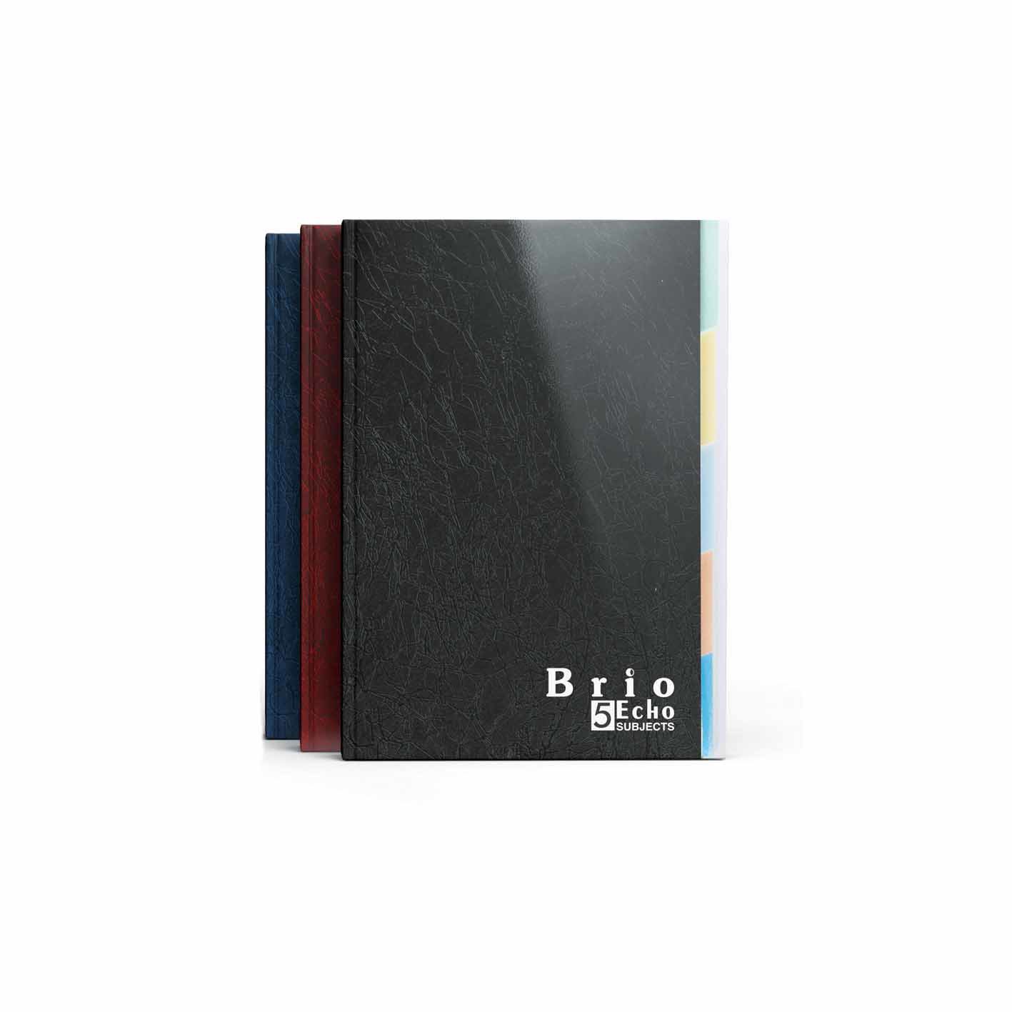 ECHO 5Sub PVC Sewn 60g Sey 96sh L/O A4