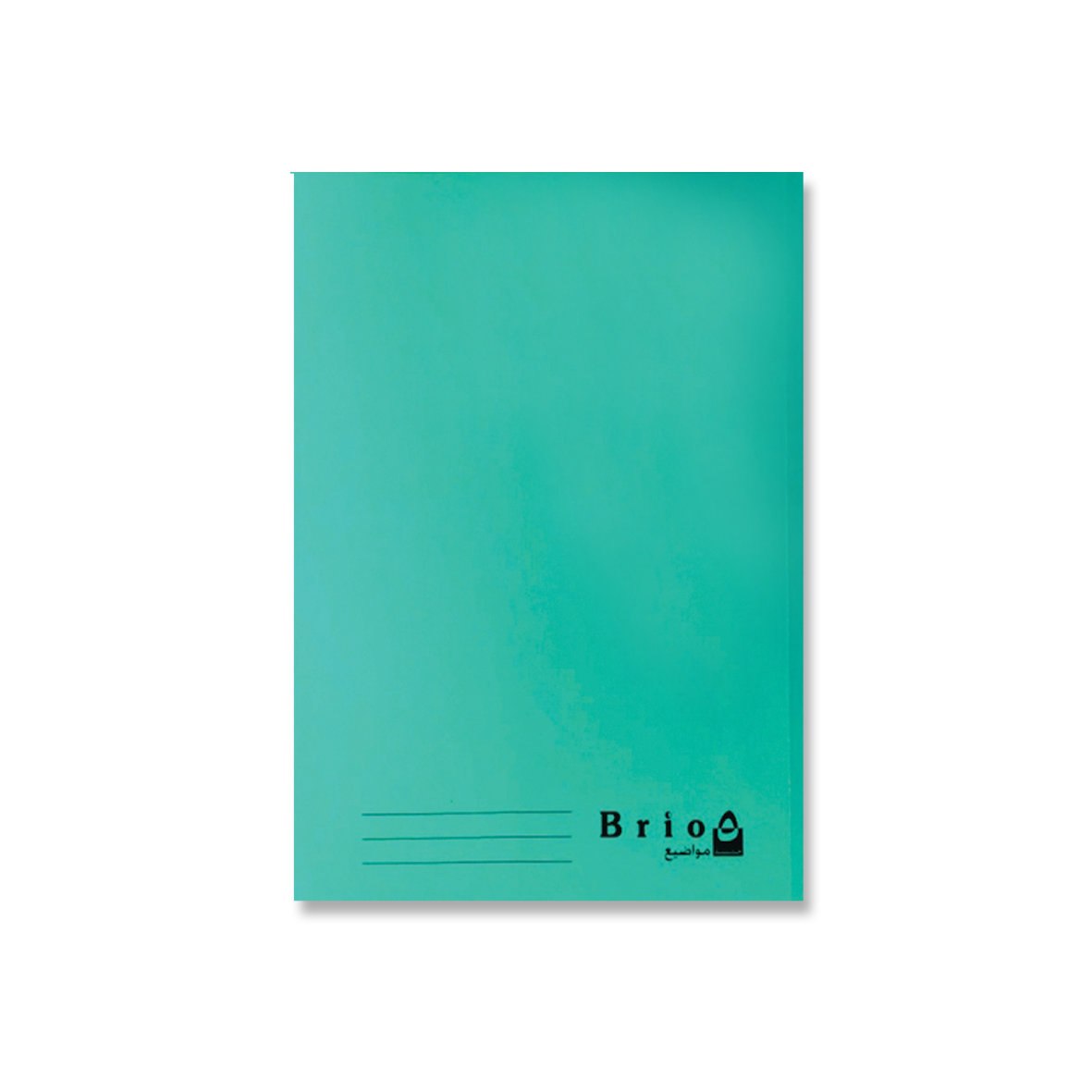 BRIO 5Sub Inv Perf Bind 60g Sey120sh L/O21x27.5 In