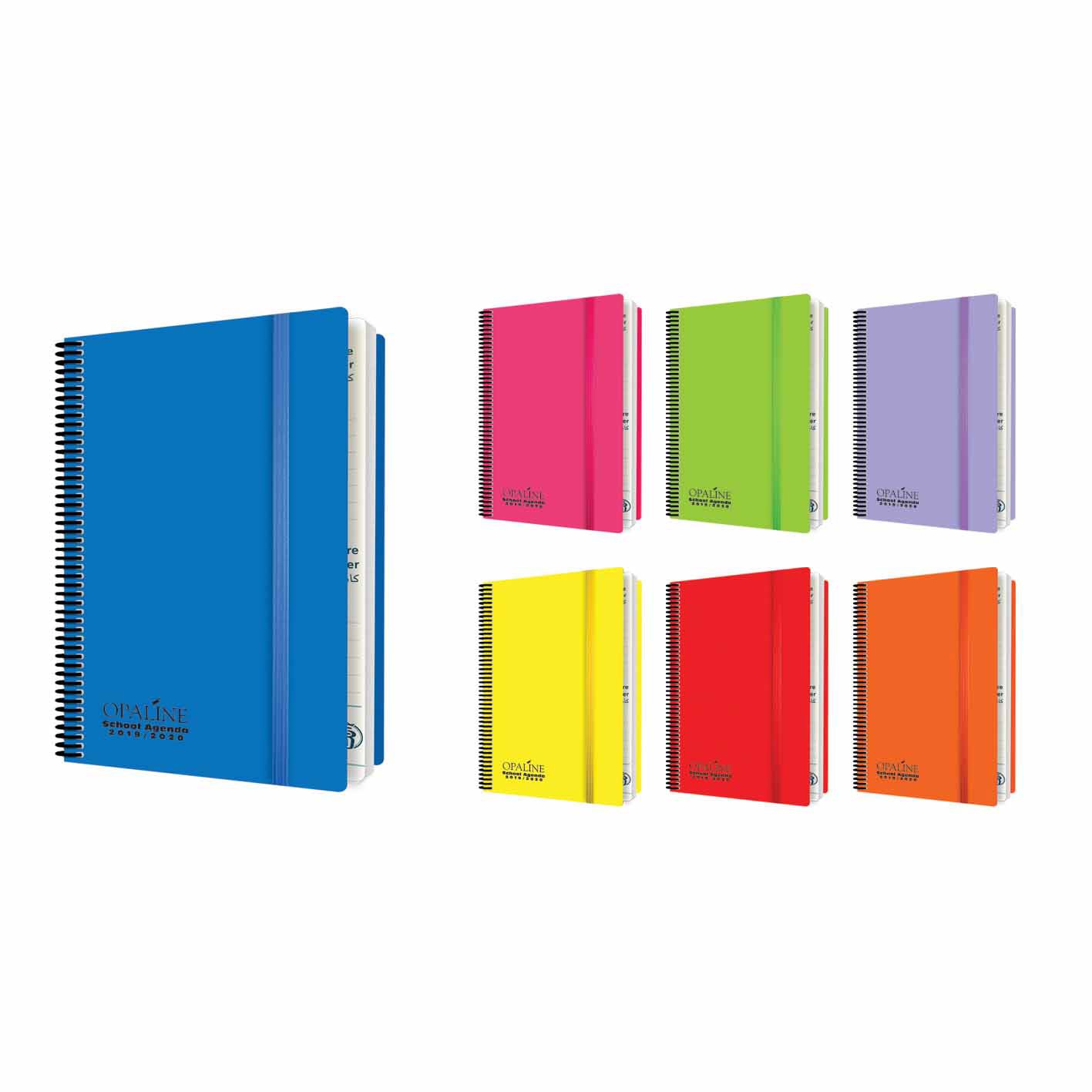 LUSSO School Agenda PP Spiraled 80g Fully Dated A5