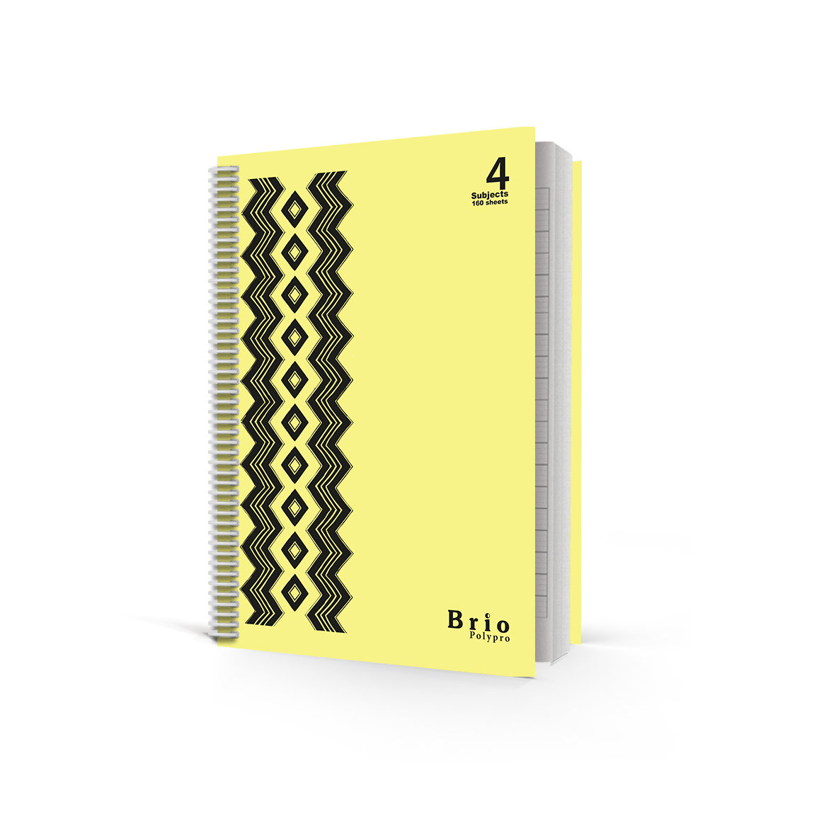 BRIO 4Sub PP Spiral 60g Lin 160sh L/O 21X27.5