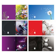 BRIO Ring Binder Carton 2R 30mm A4. Assorted pics