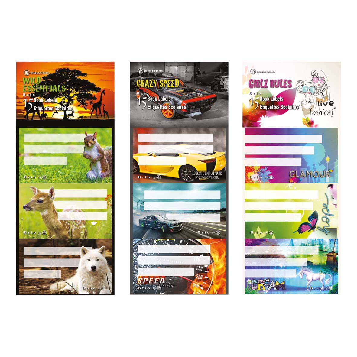 BRIO 15 Schl Stickers in clear bag (5x3) 3 Designs