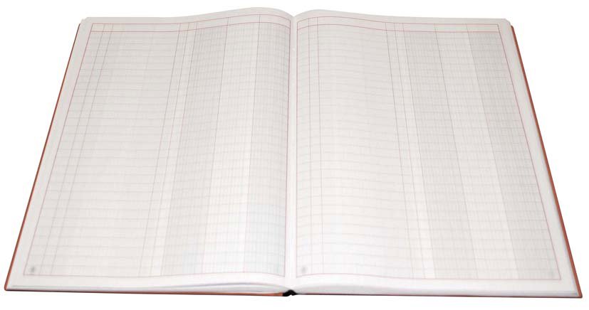 EXTRA Record book PVC Cov 2col 192 sh B4