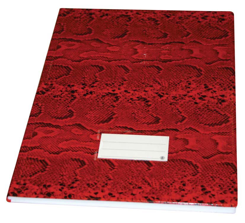 EXTRA Record book PVC Cov 3col 96 sh B4