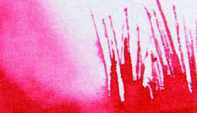 RWC BRUSH 110/000 FSC