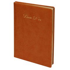 GOLD Book PU 100gsm Gilded 100sh 17x24cm Assorted