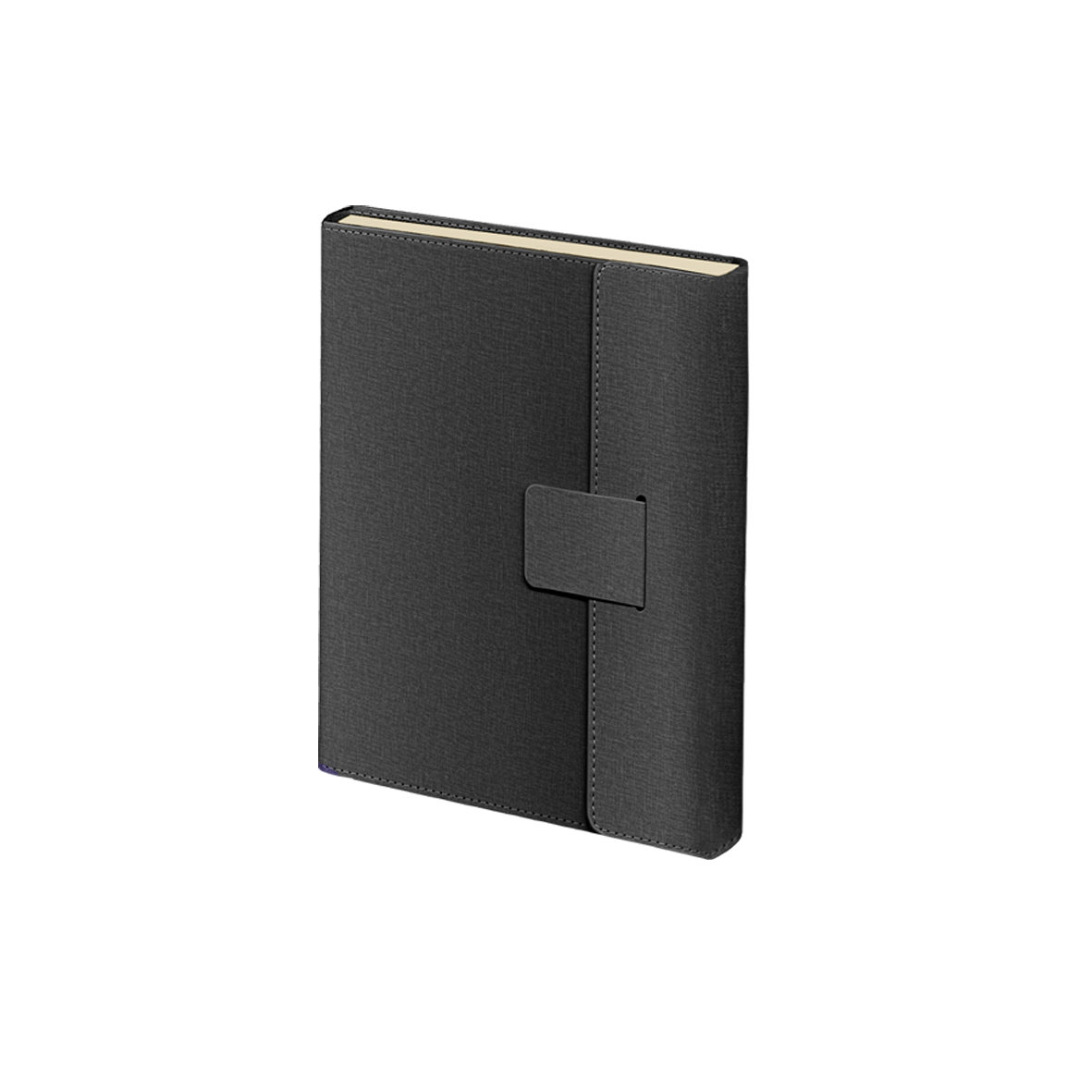 2026 Daily Diary PU Cover Magnet L/O Line B5 Black