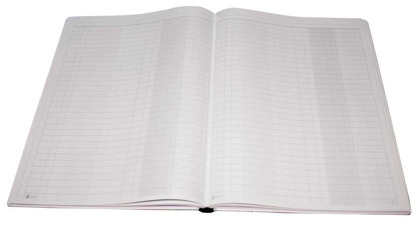 EXTRA Record book PVC Cov 2col 96 sh B4