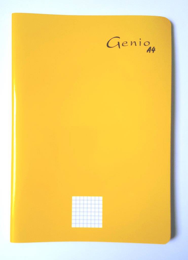 GENIO Col Bk Inv Stit 70g Quad 96sh L/O A4